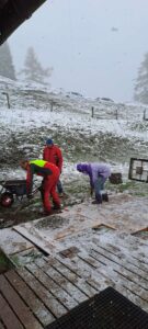 Auswinterungsarbeiten 2026